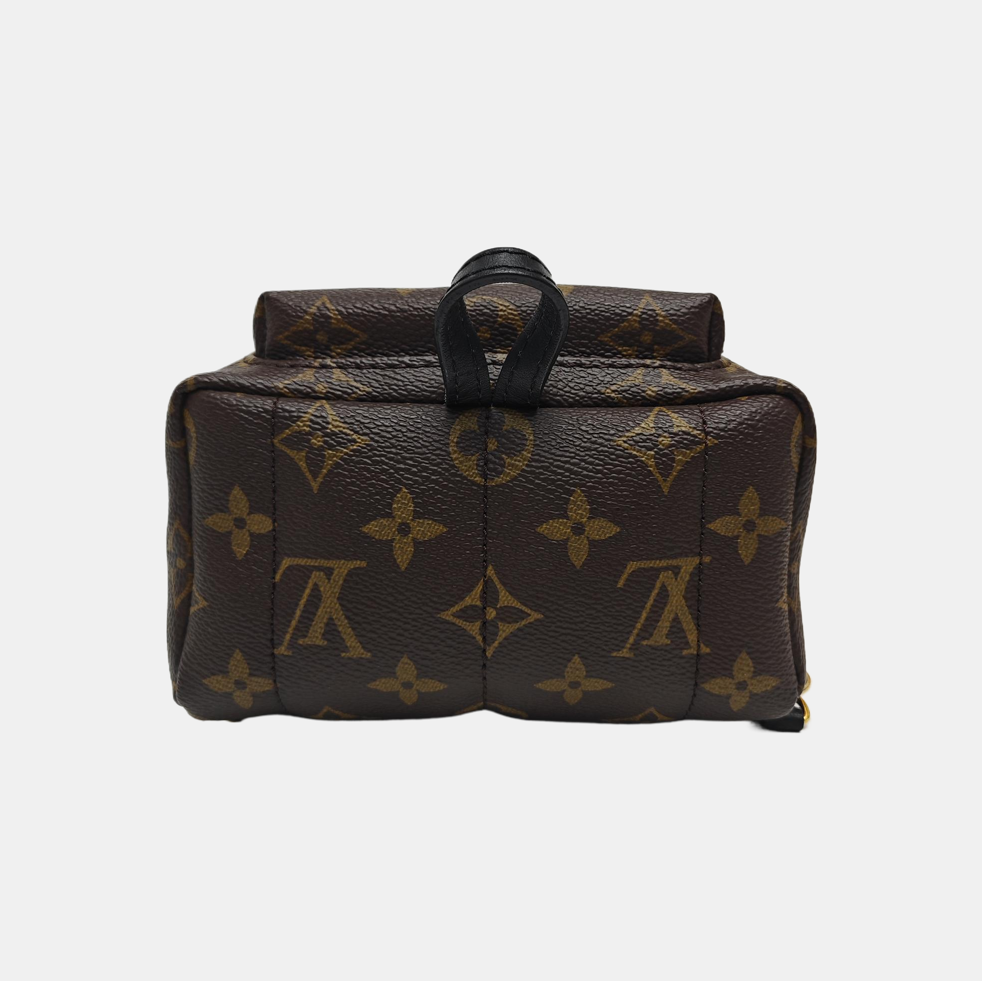 PALM SPRINGS Mini Monogram Coated Canvas Brown