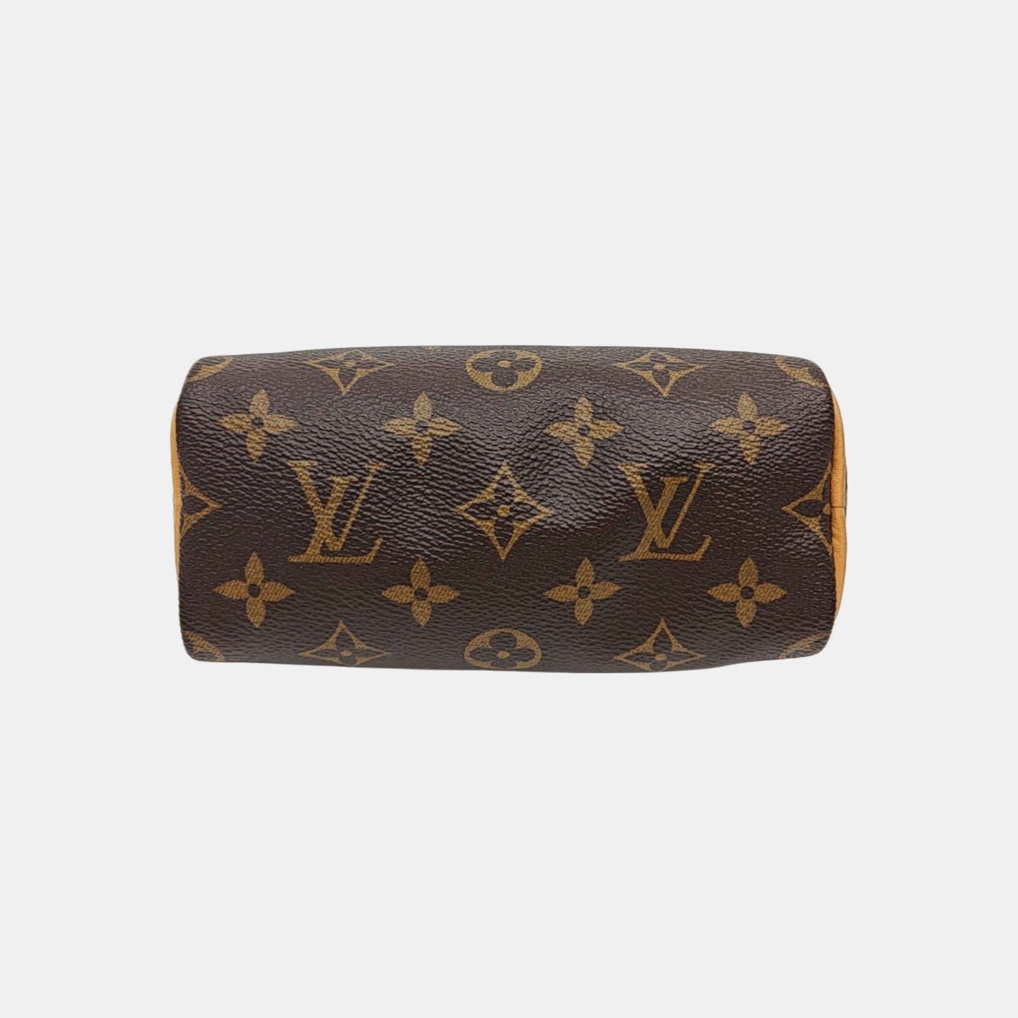 SPEEDY Nano Monogram Coated Canvas Brown