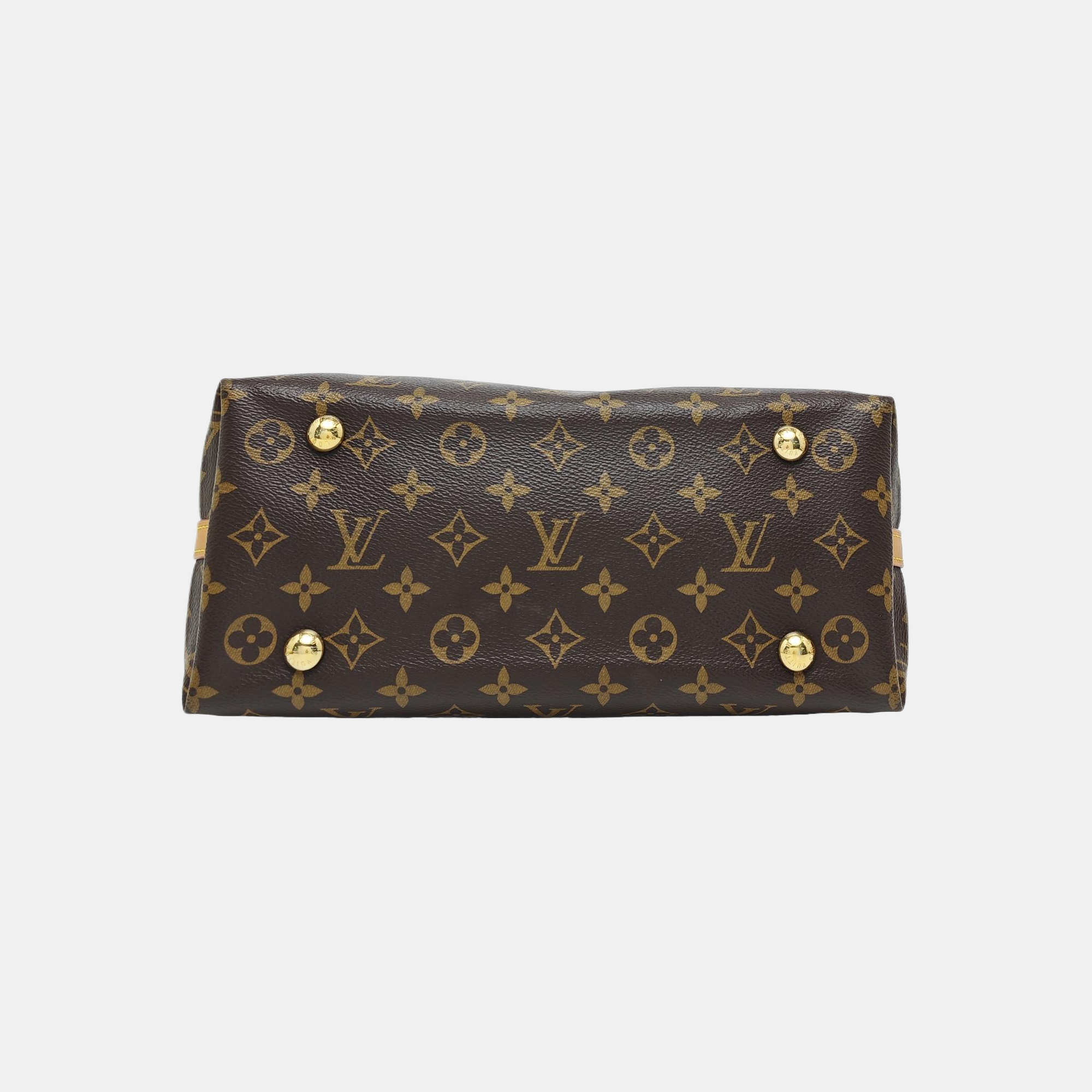 CARRYALL PM Monogram Coated Canvas Brown