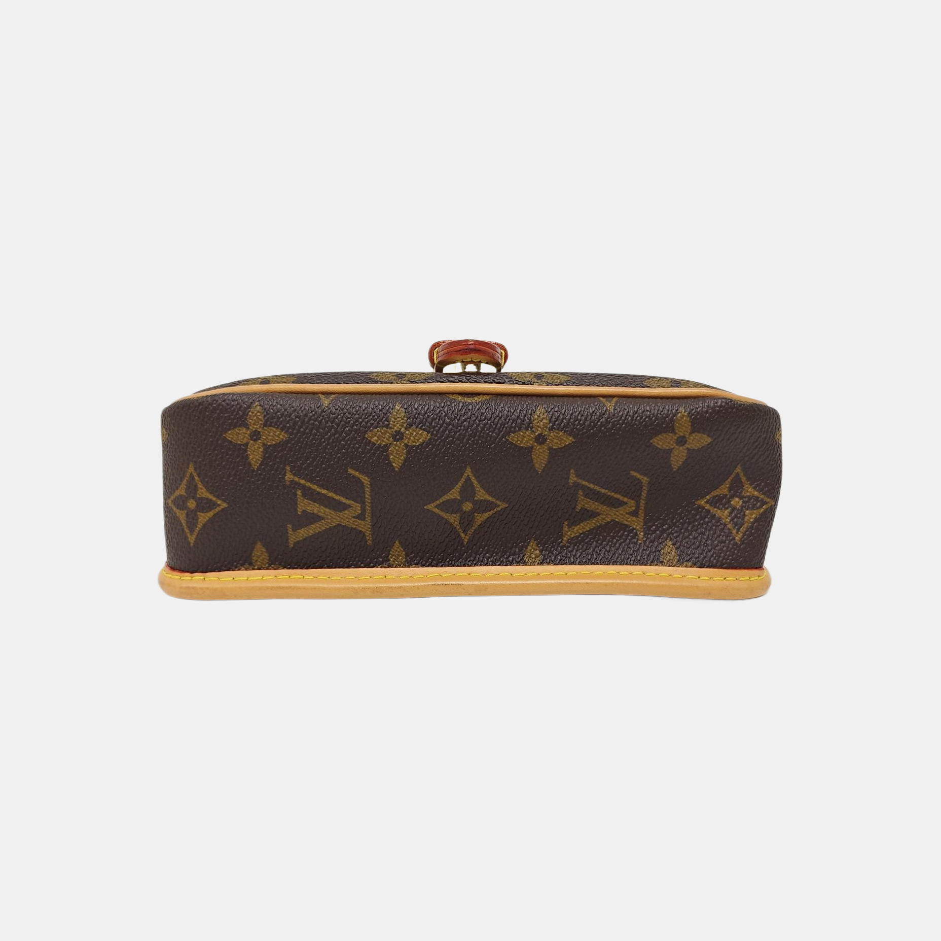 DIANE Nano Monogram Coated Canvas Brown