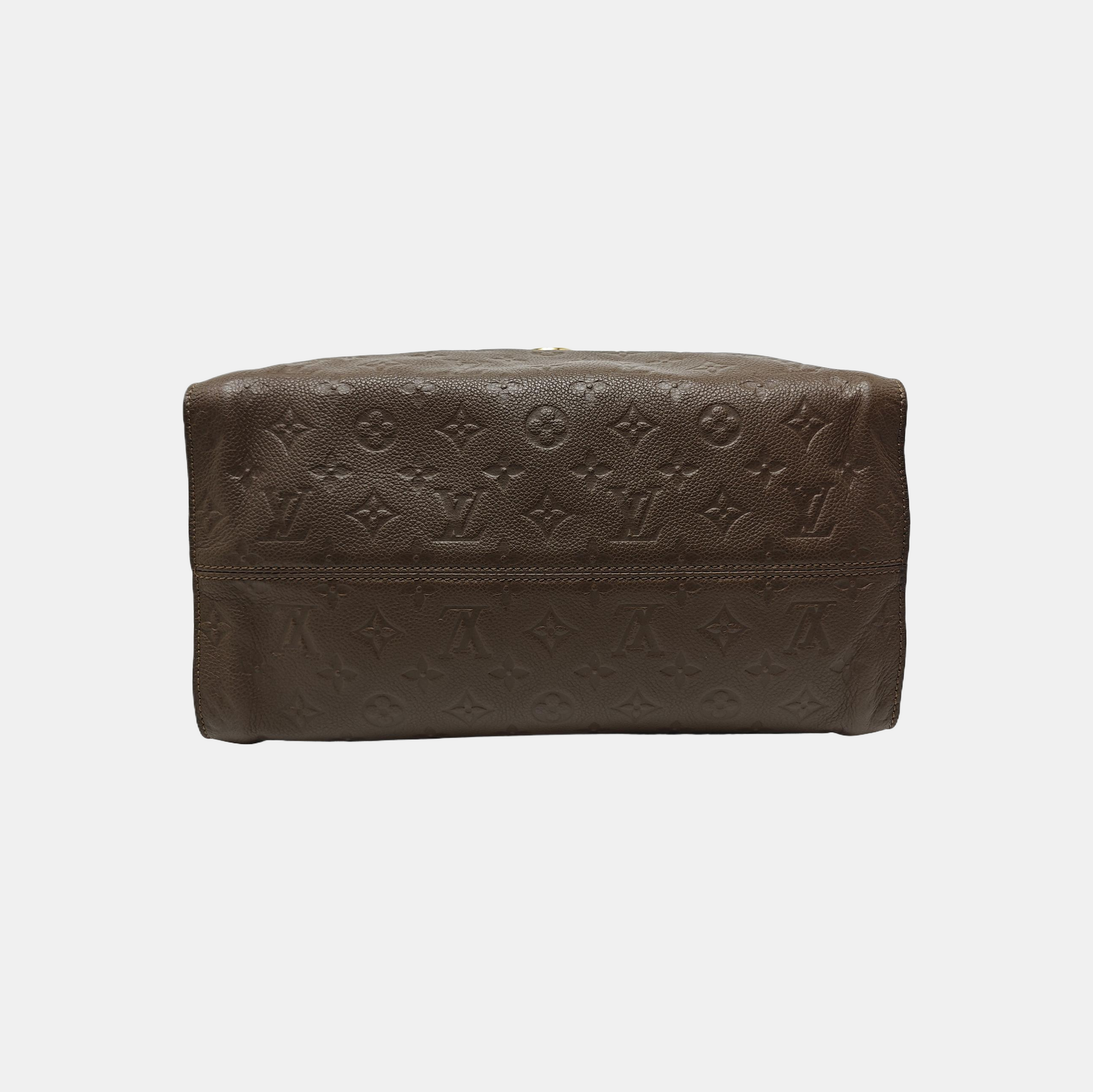 LUMINEUSE GM Calfskin Brown