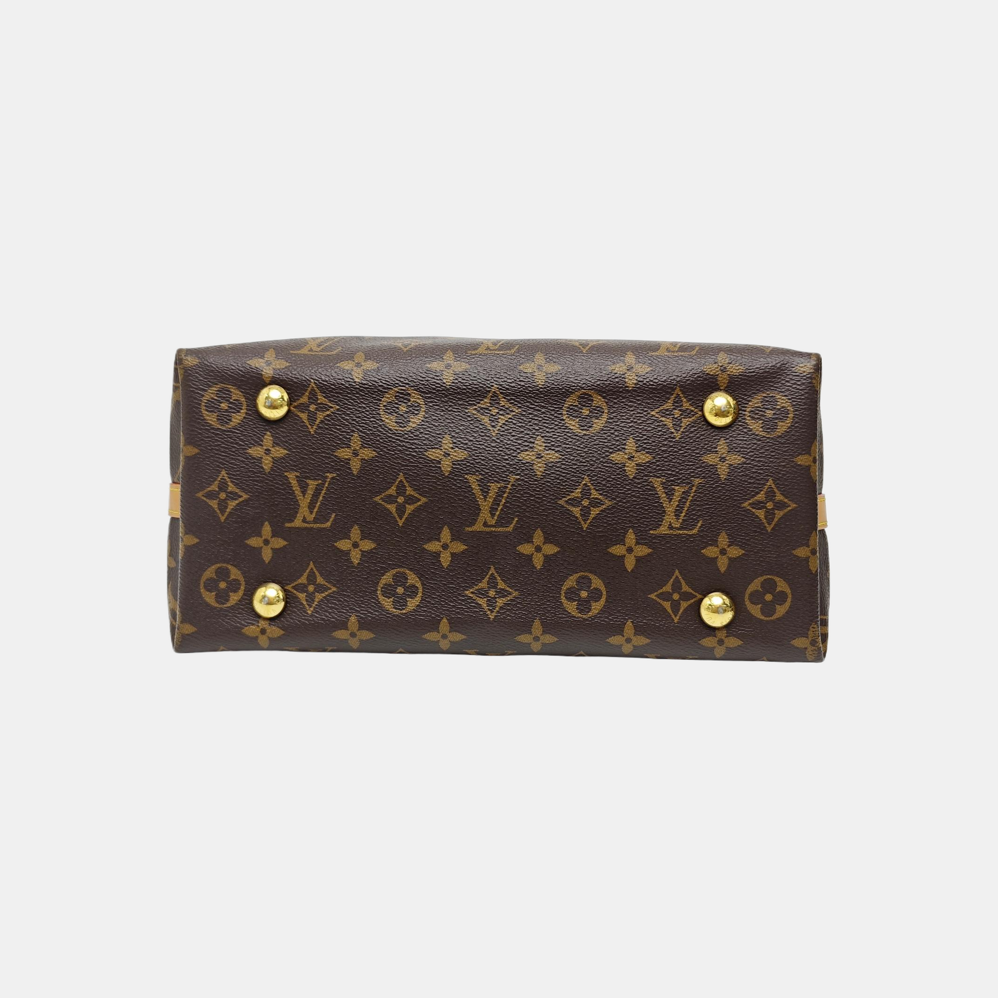 CARRYALL PM Monogram Coated Canvas Brown