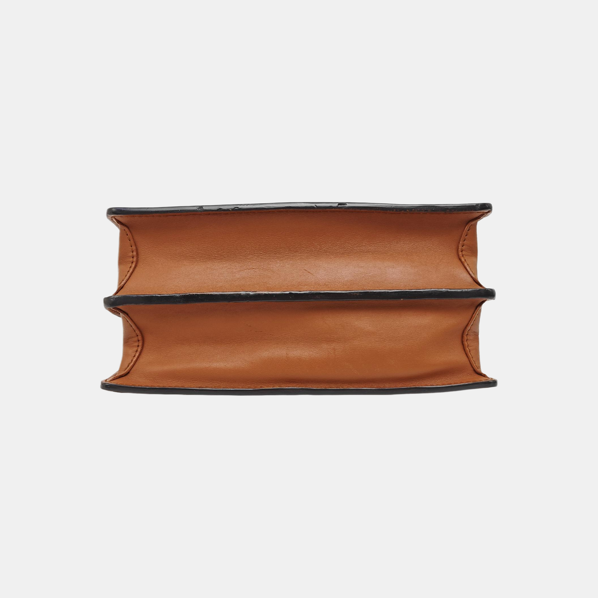 DAUPHINE MM Monogram Coated Canvas Brown