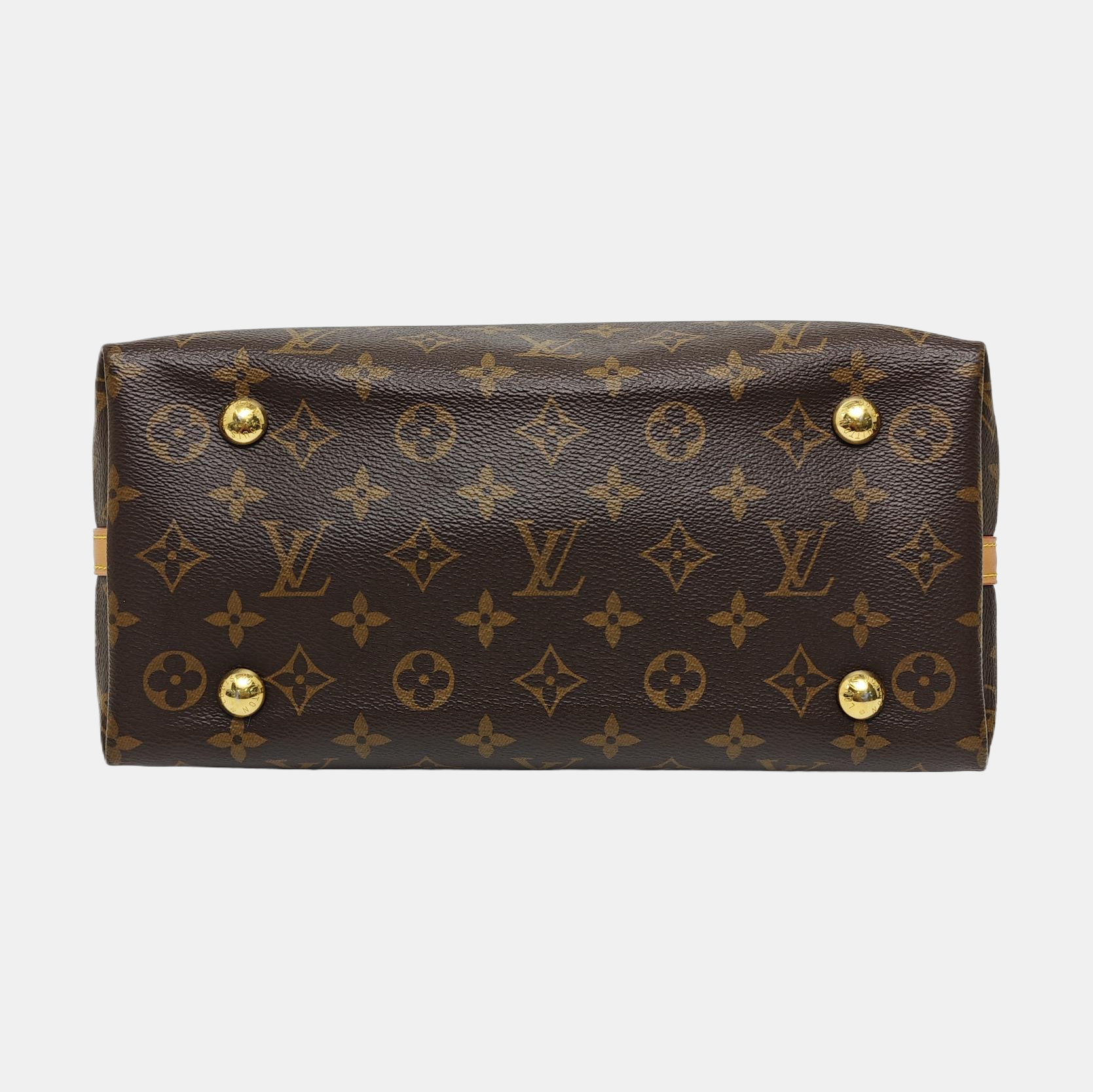 CARRYALL PM Monogram Coated Canvas Brown