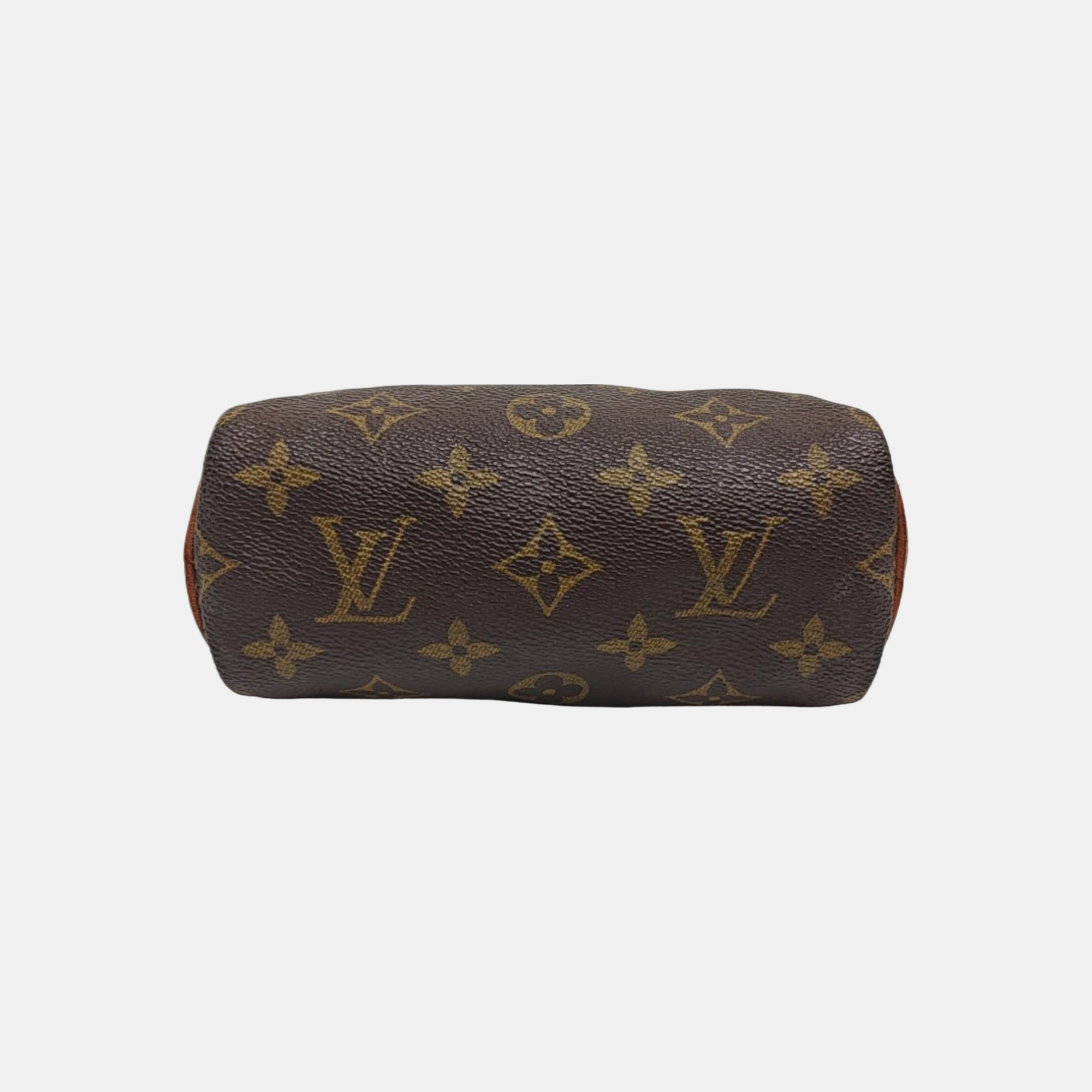 SPEEDY Nano Monogram Coated Canvas Brown