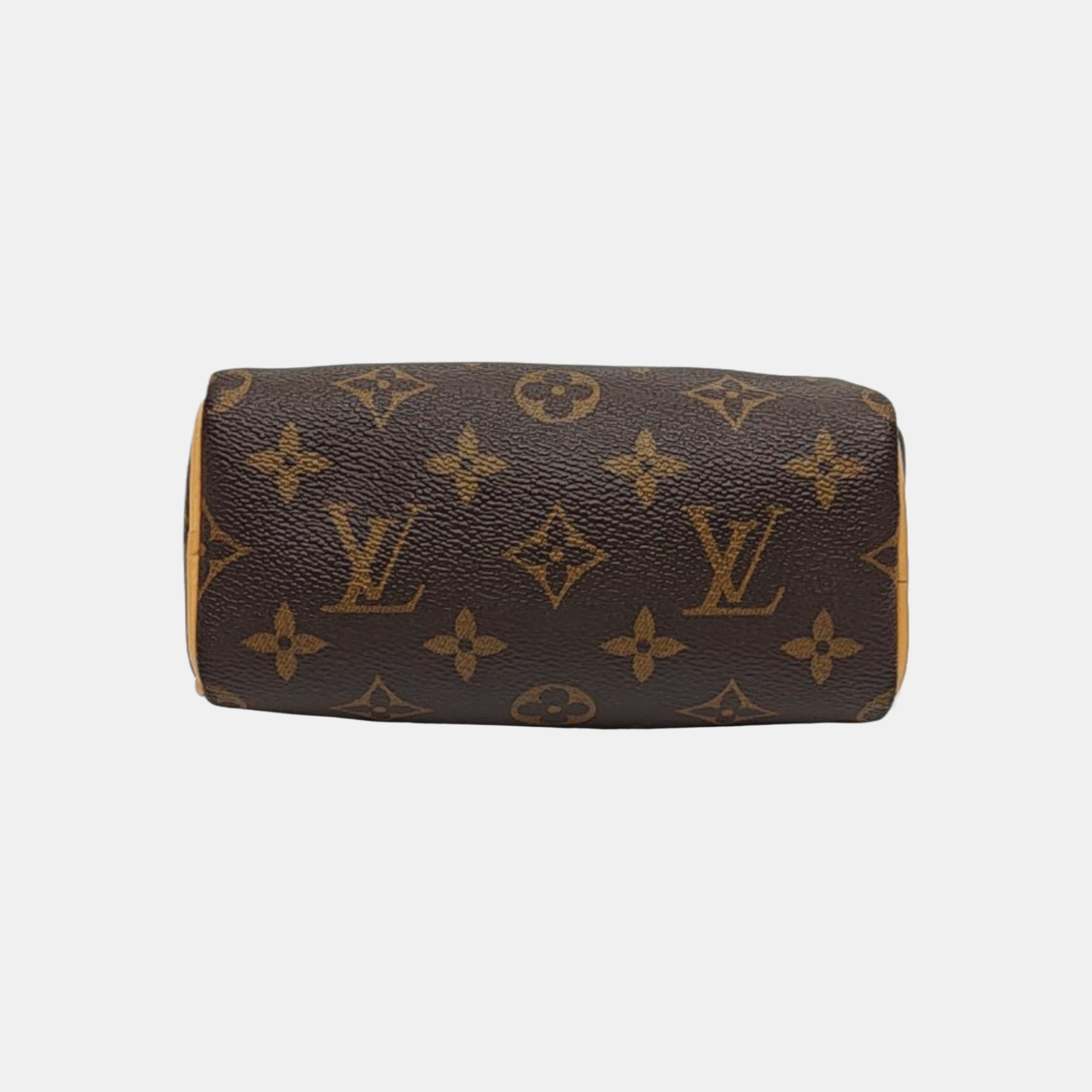 SPEEDY Nano Monogram Coated Canvas Brown