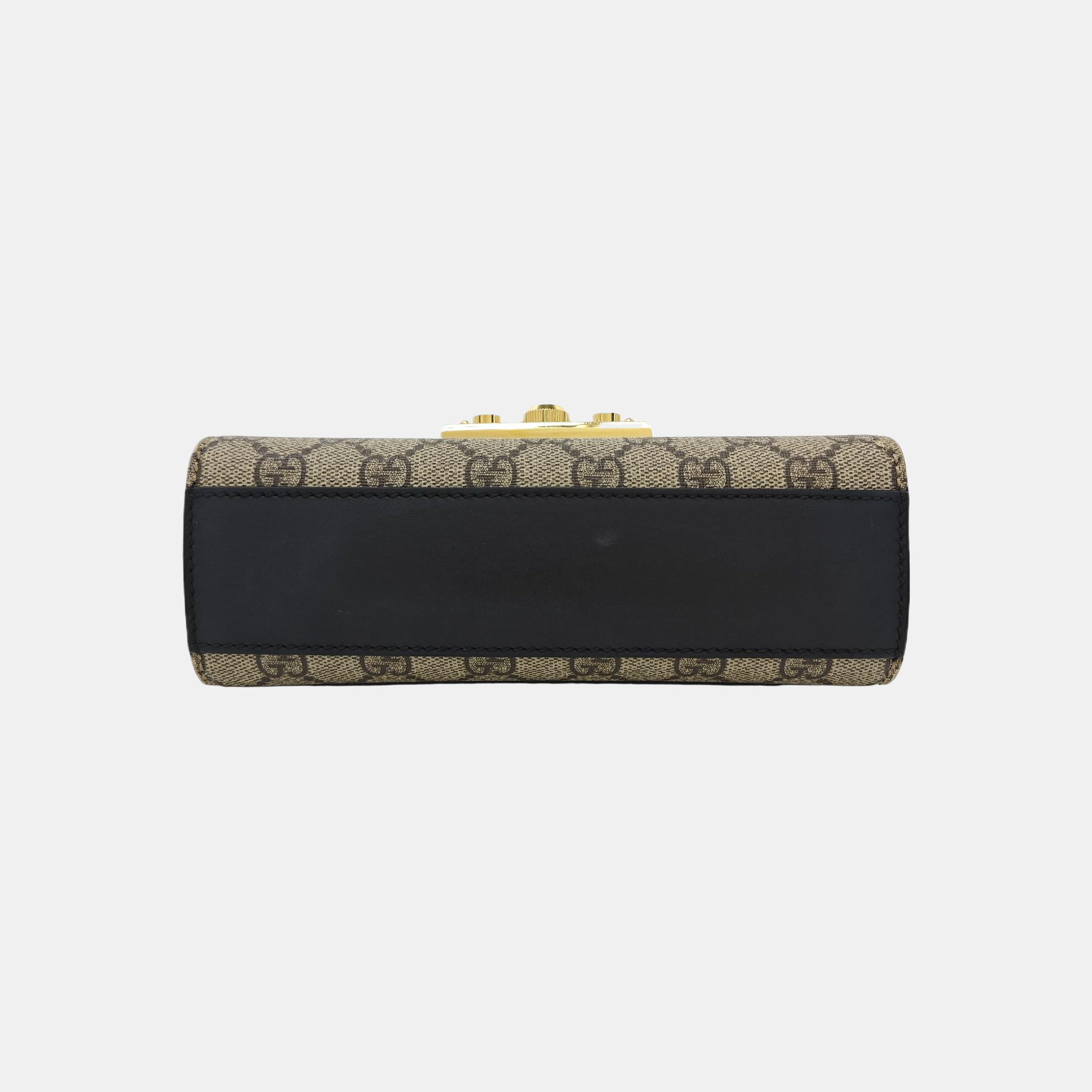 Padlock Small Monogram Coated Canvas Multicolor