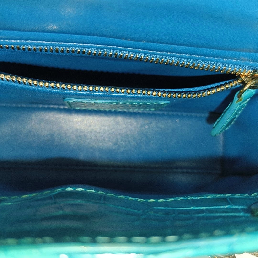 Crocodile Blue