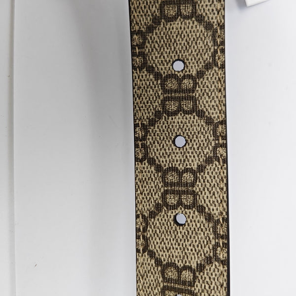Coated Canvas Belt Brown