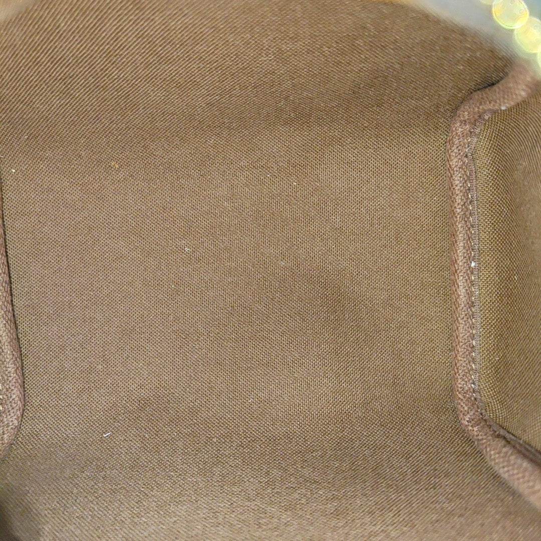 SPEEDY Nano Monogram Coated Canvas Brown