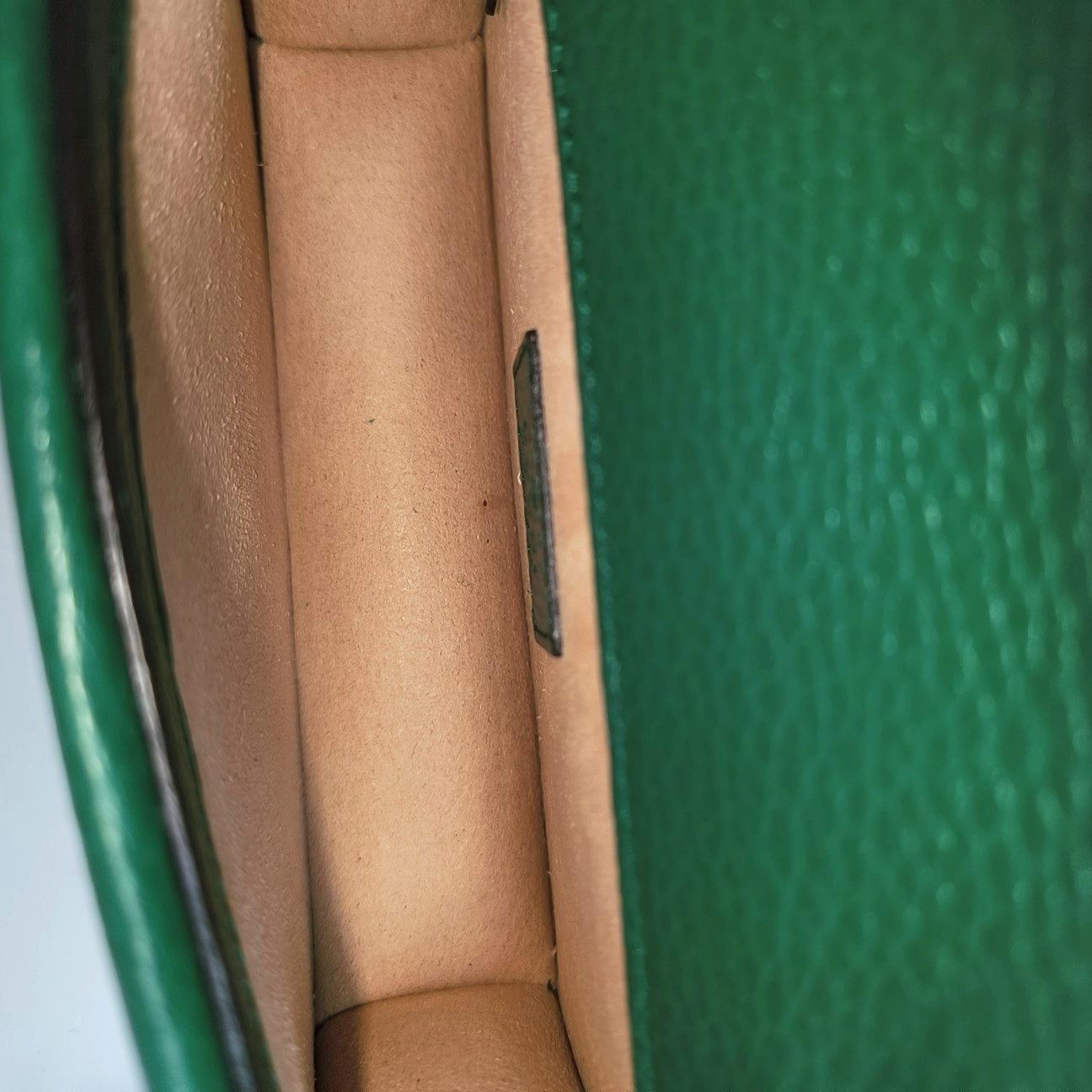 Dionysus Super Mini Calfskin Green