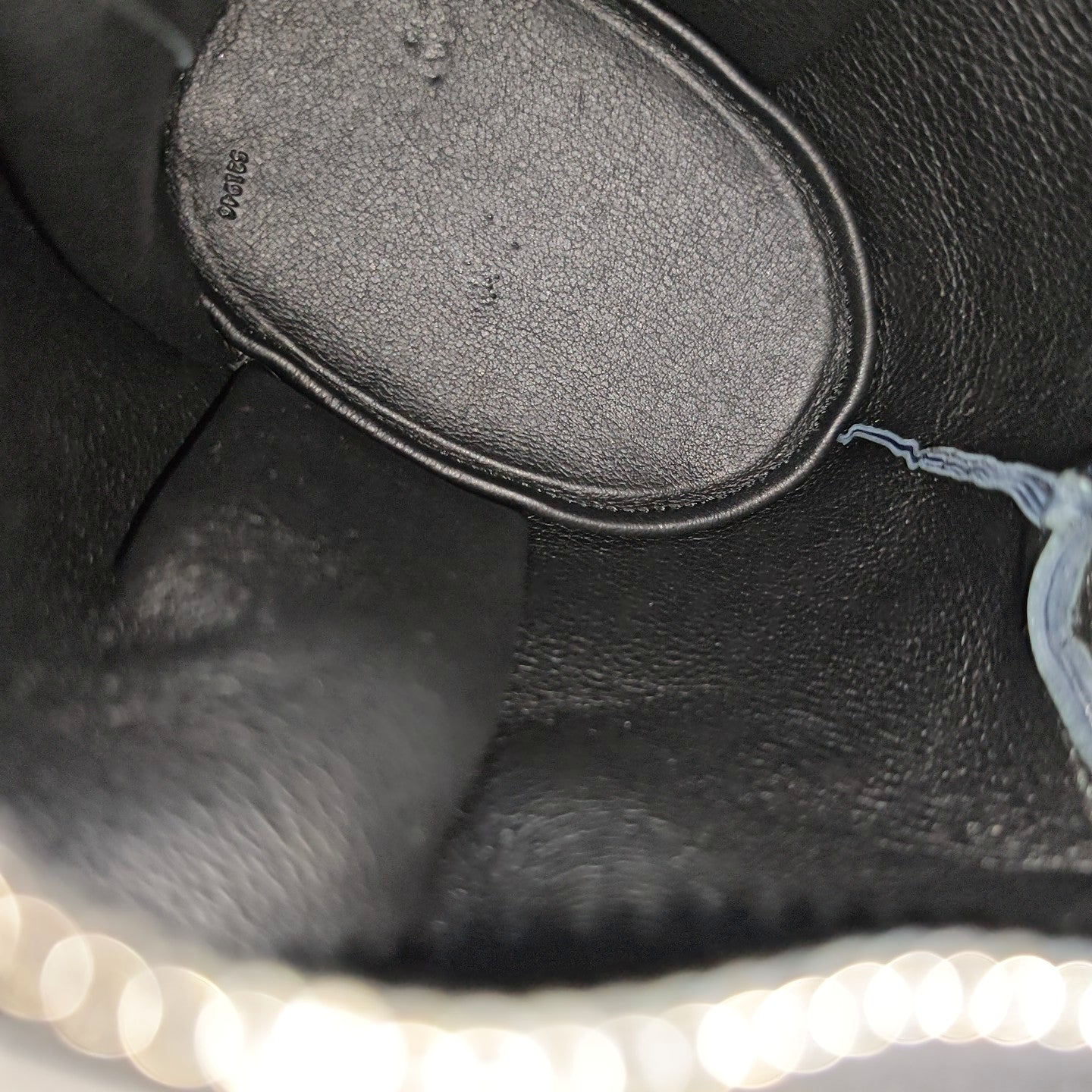 Animals Calfskin Blue