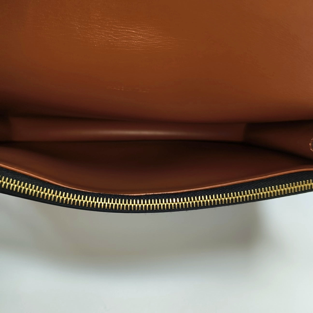 TRIOMPHE CANVAS Small Coated Canvas Brown