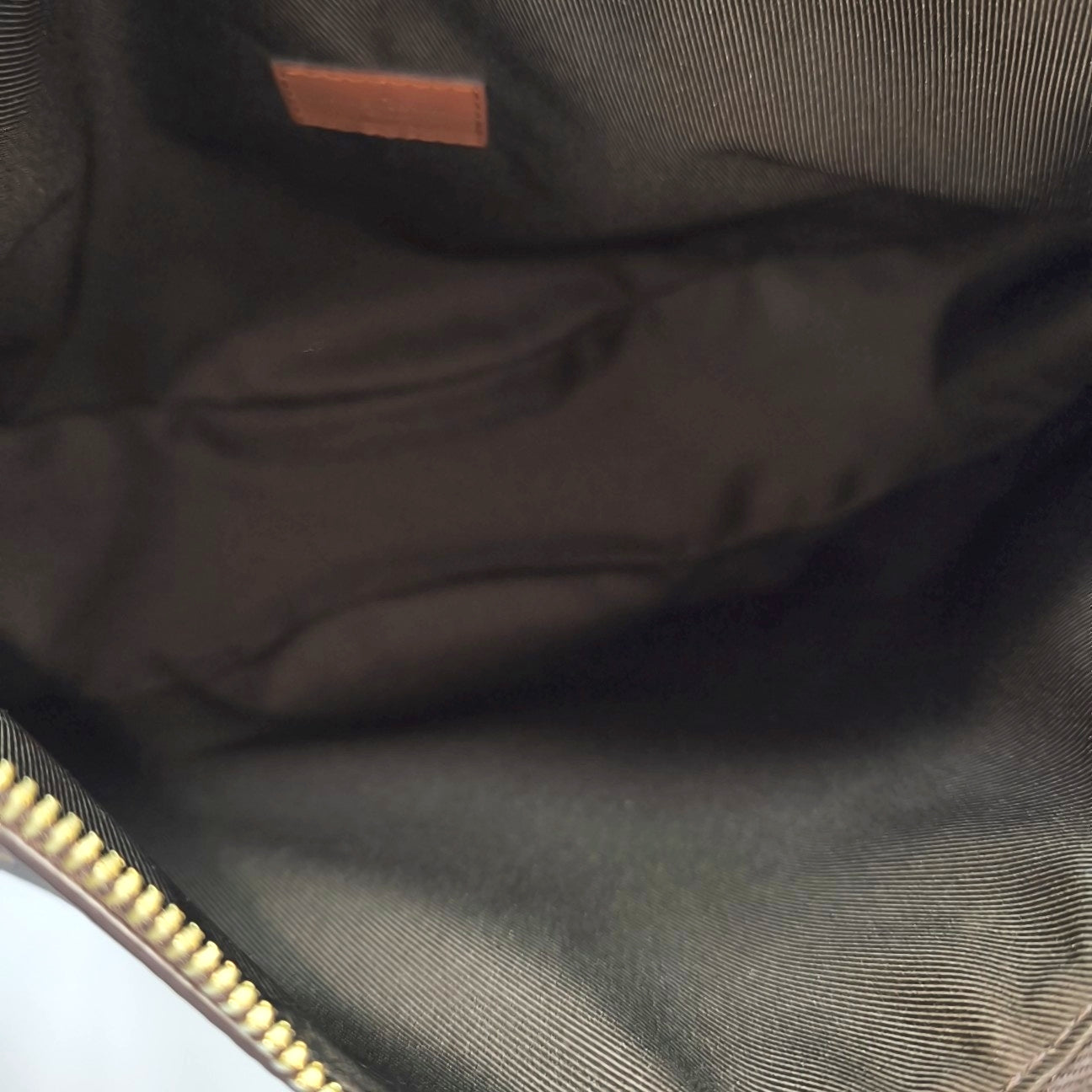 LOOP HOBO Monogram Coated Canvas Brown