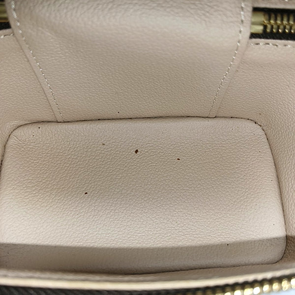 NICE Super Mini Monogram Coated Canvas Brown