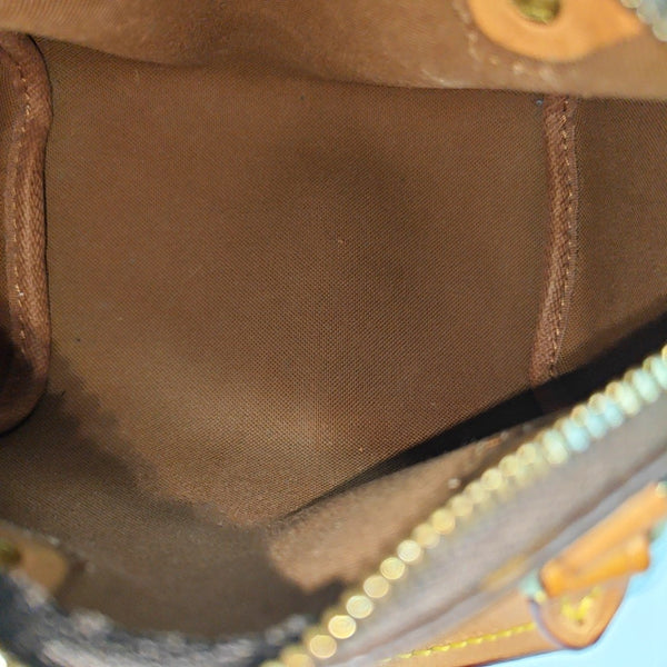 SPEEDY Nano Monogram Coated Canvas Brown