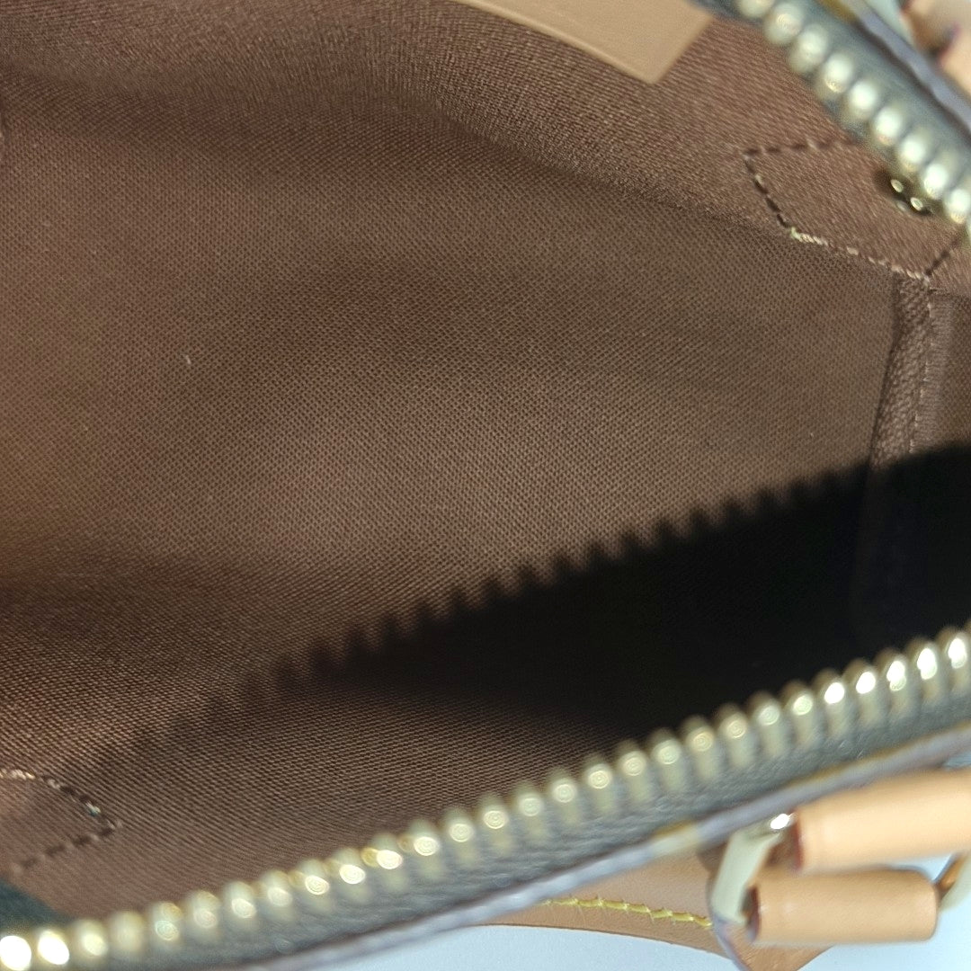 SPEEDY Nano Monogram Coated Canvas Brown