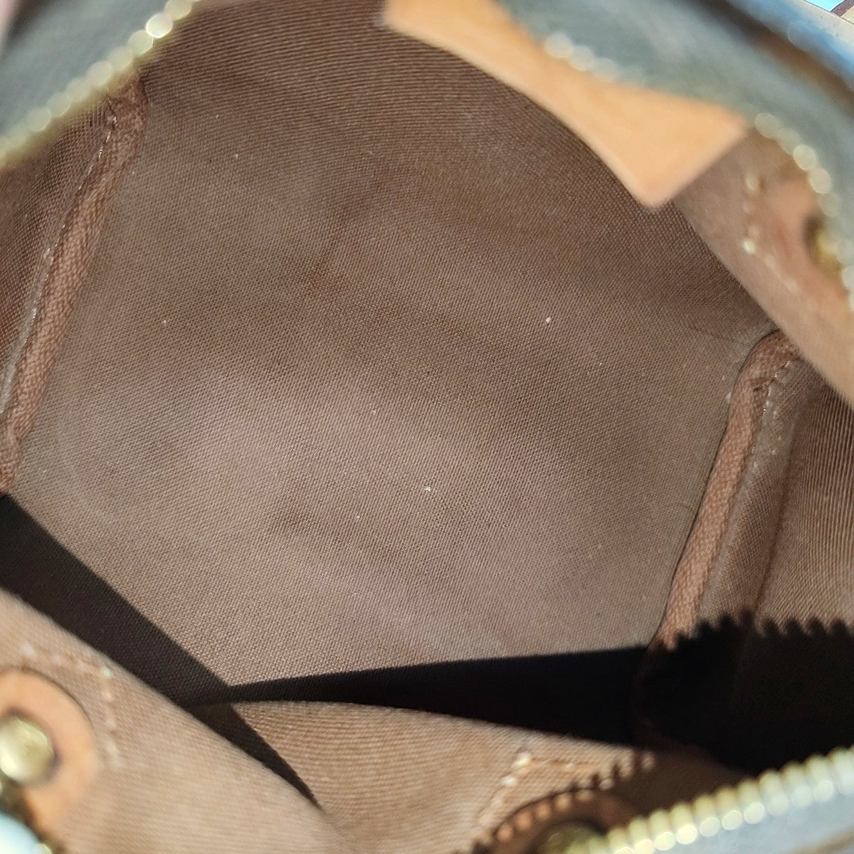 SPEEDY Nano Monogram Coated Canvas Brown