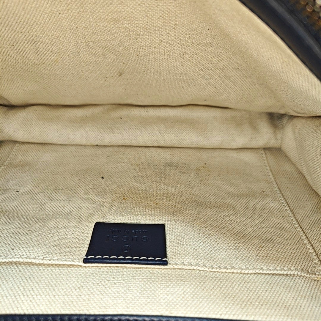 Dionysus Medium Calfskin Multicolor