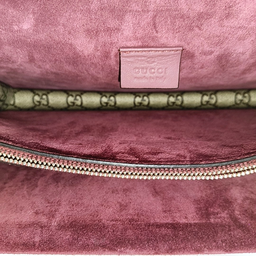 Authenticated pre-owned  Dionysus Monogram Coated Canvas Beige - Shoulder Bag at Looply