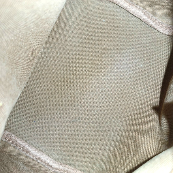 SPEEDY Nano Monogram Coated Canvas Brown