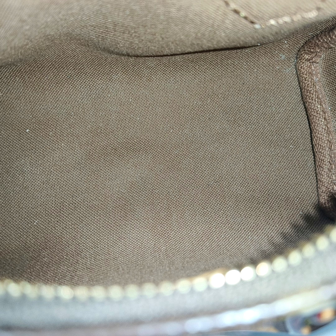 SPEEDY Nano Monogram Coated Canvas Brown