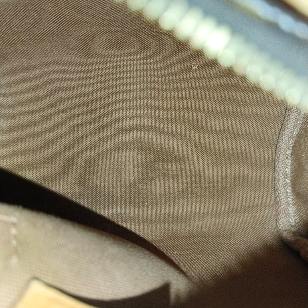 SPEEDY Nano Monogram Coated Canvas Brown