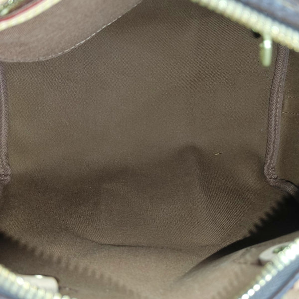 SPEEDY 25 Monogram Coated Canvas Brown