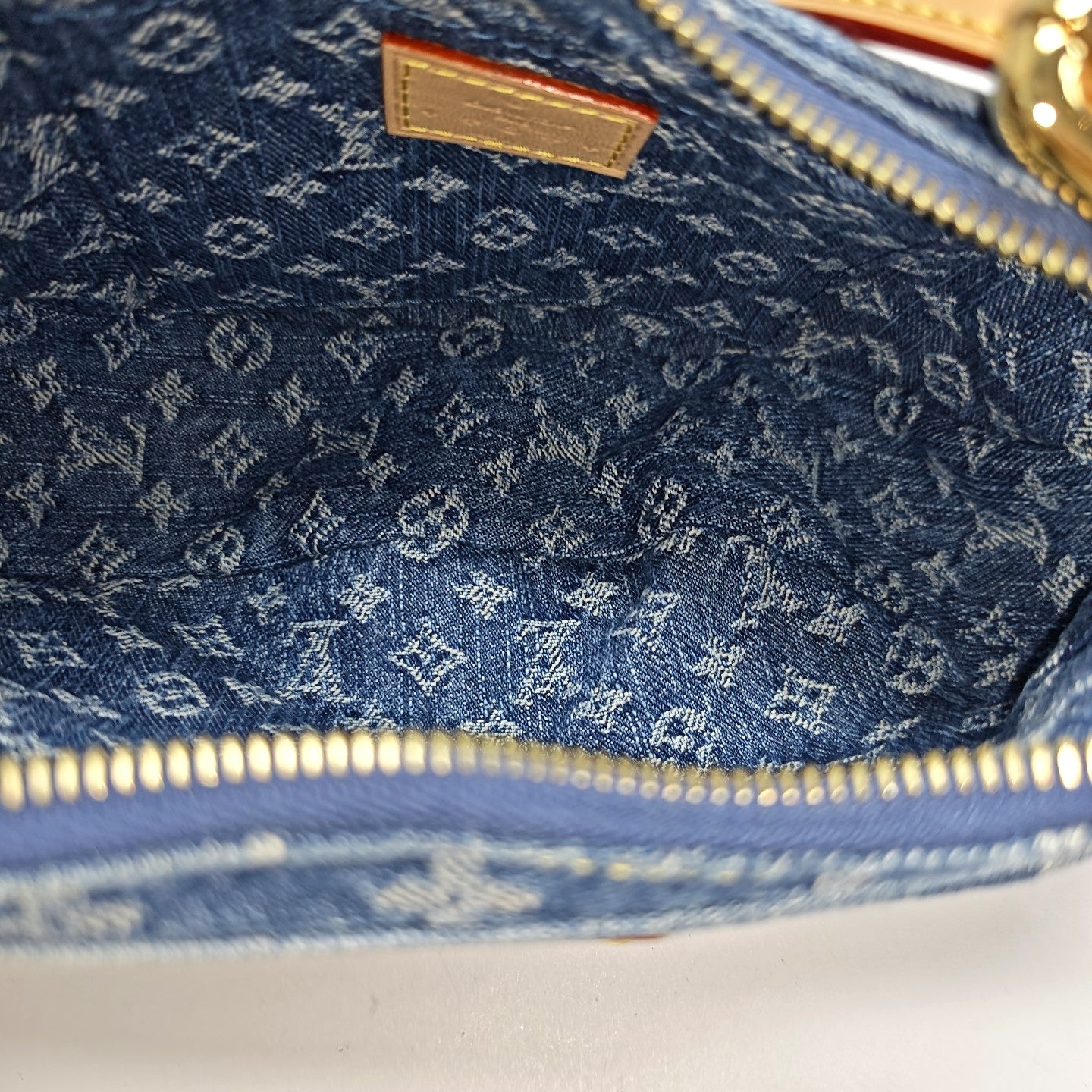 CROISSANT PM Monogram Canvas Blue