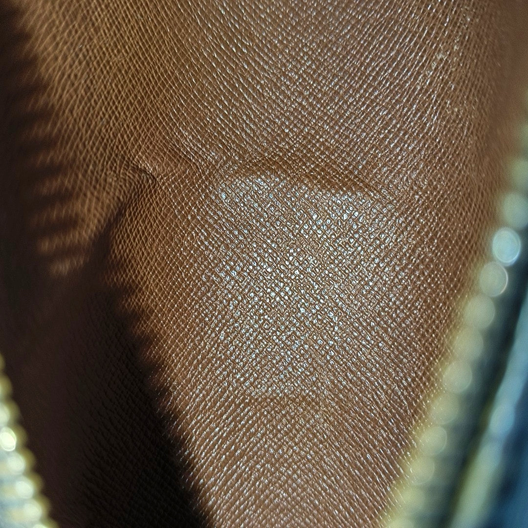 PAPILLON Mini Monogram Coated Canvas Brown