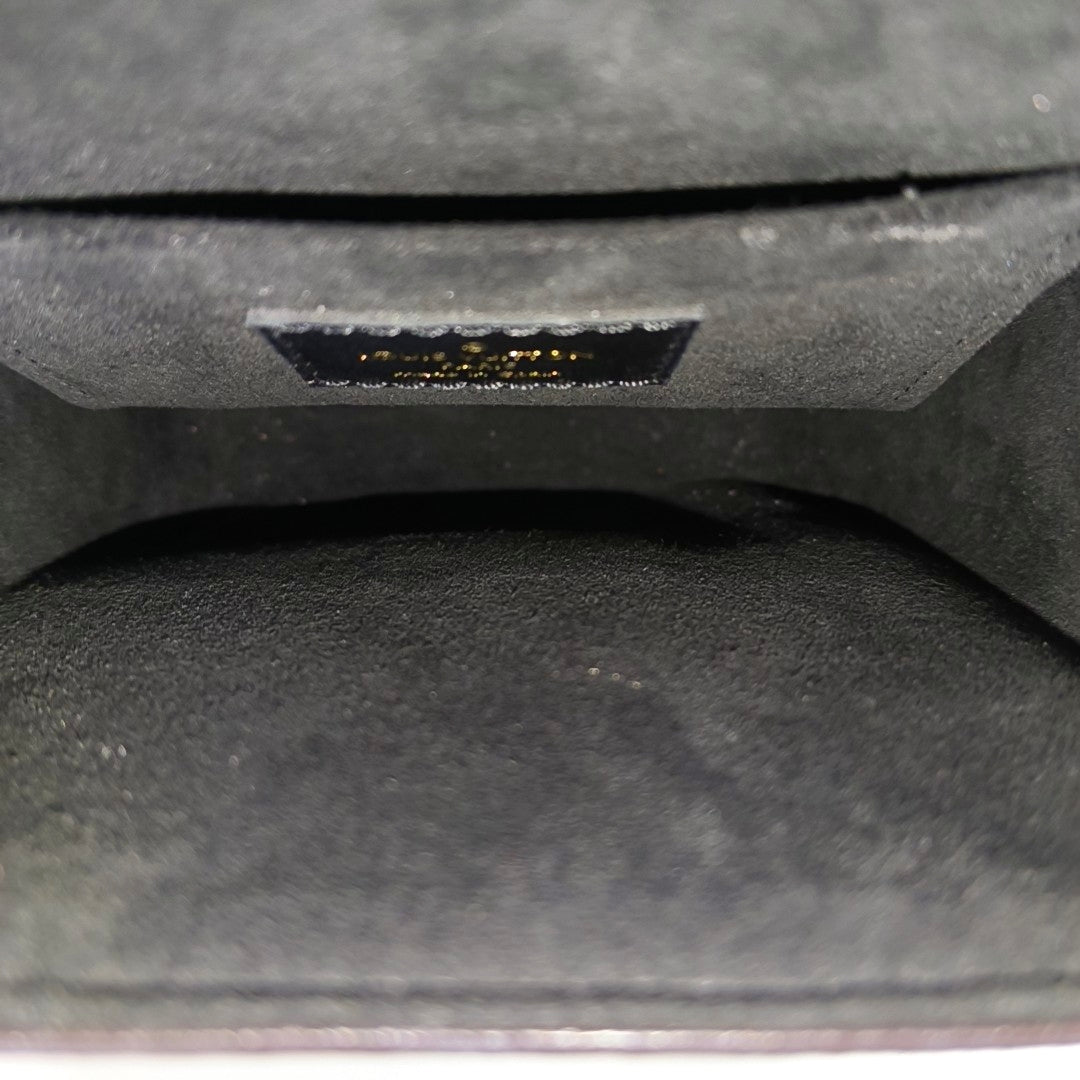 CAMERA BOX Monogram Coated Canvas Brown