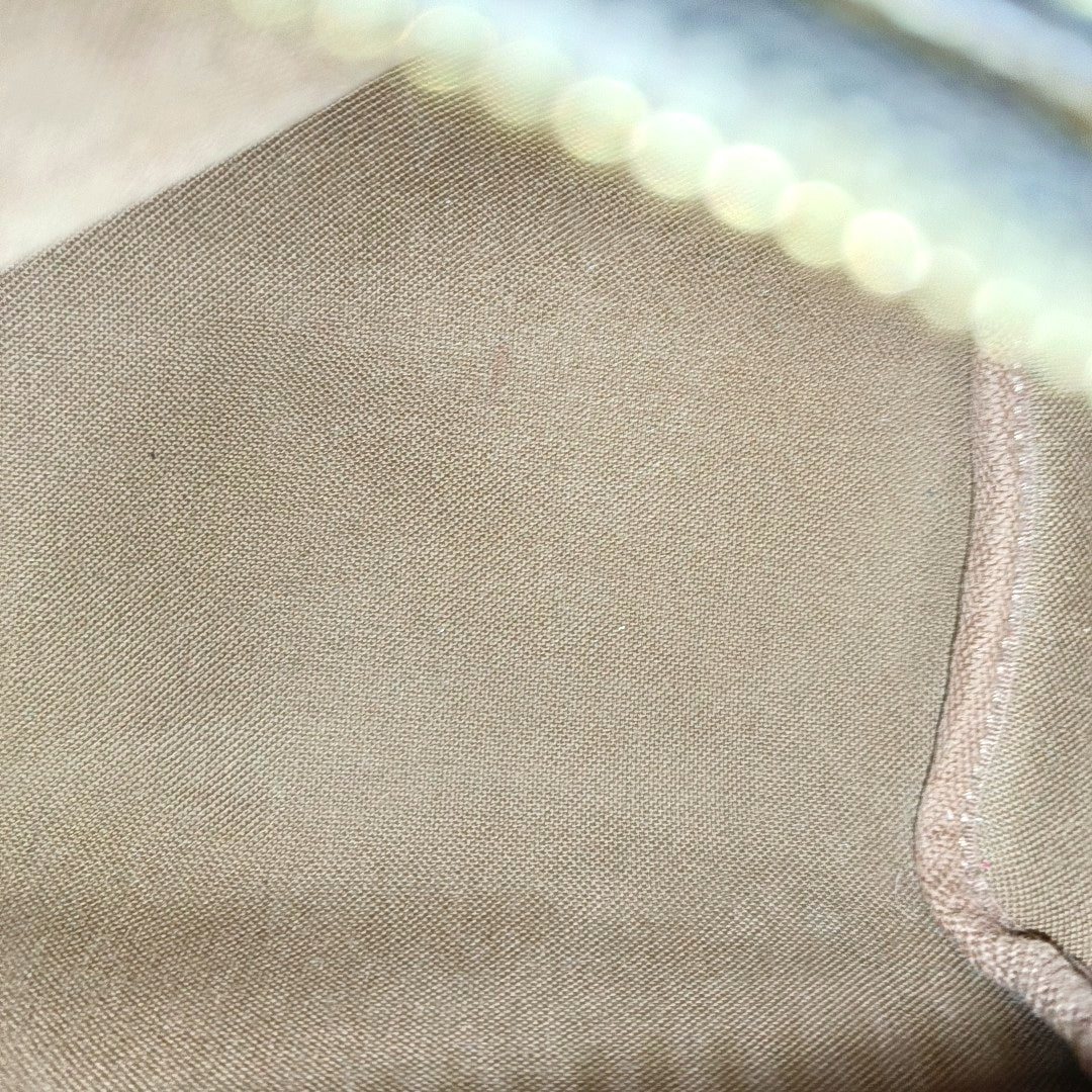 SPEEDY Nano Monogram Coated Canvas Brown