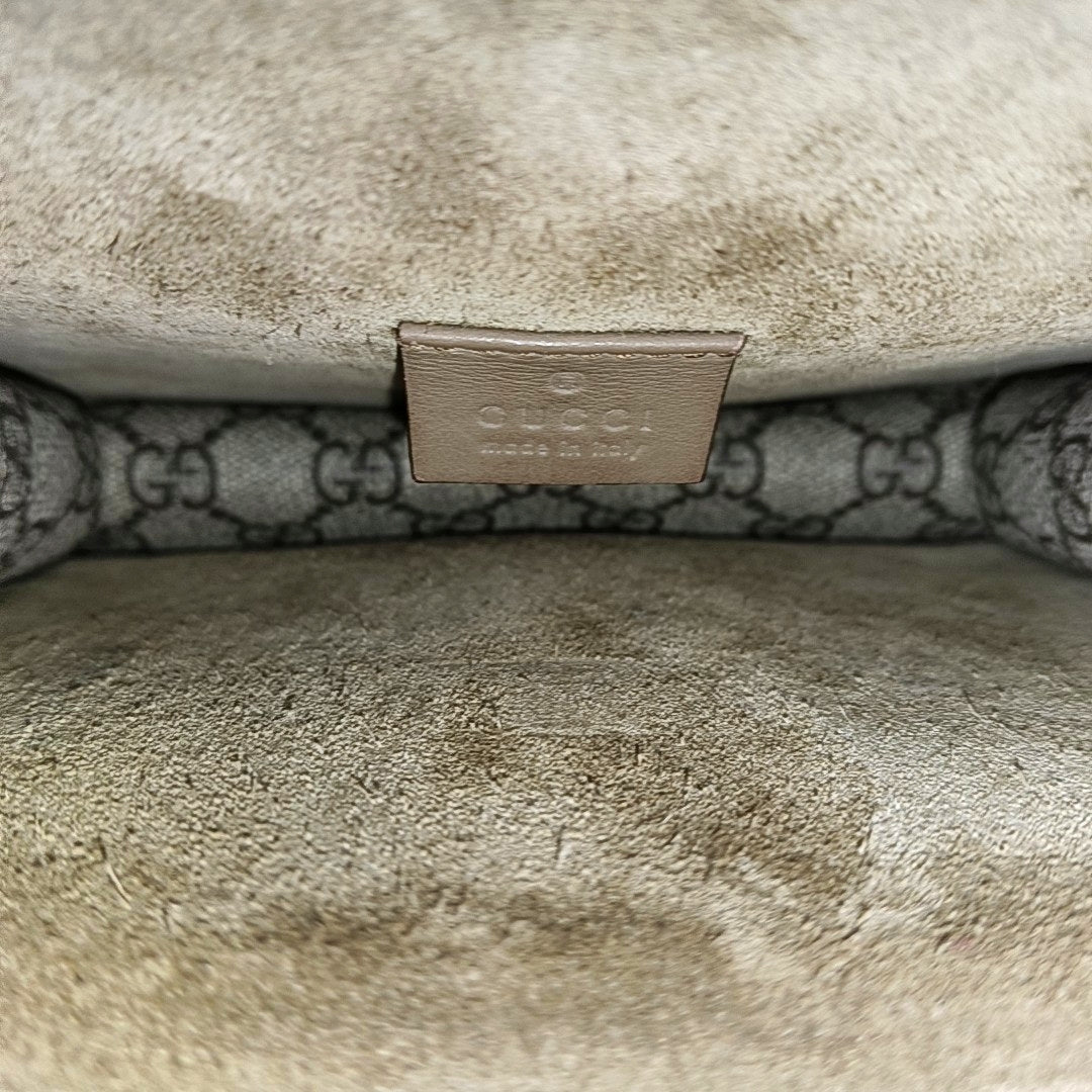 Dionysus Mini Monogram Coated Canvas Beige