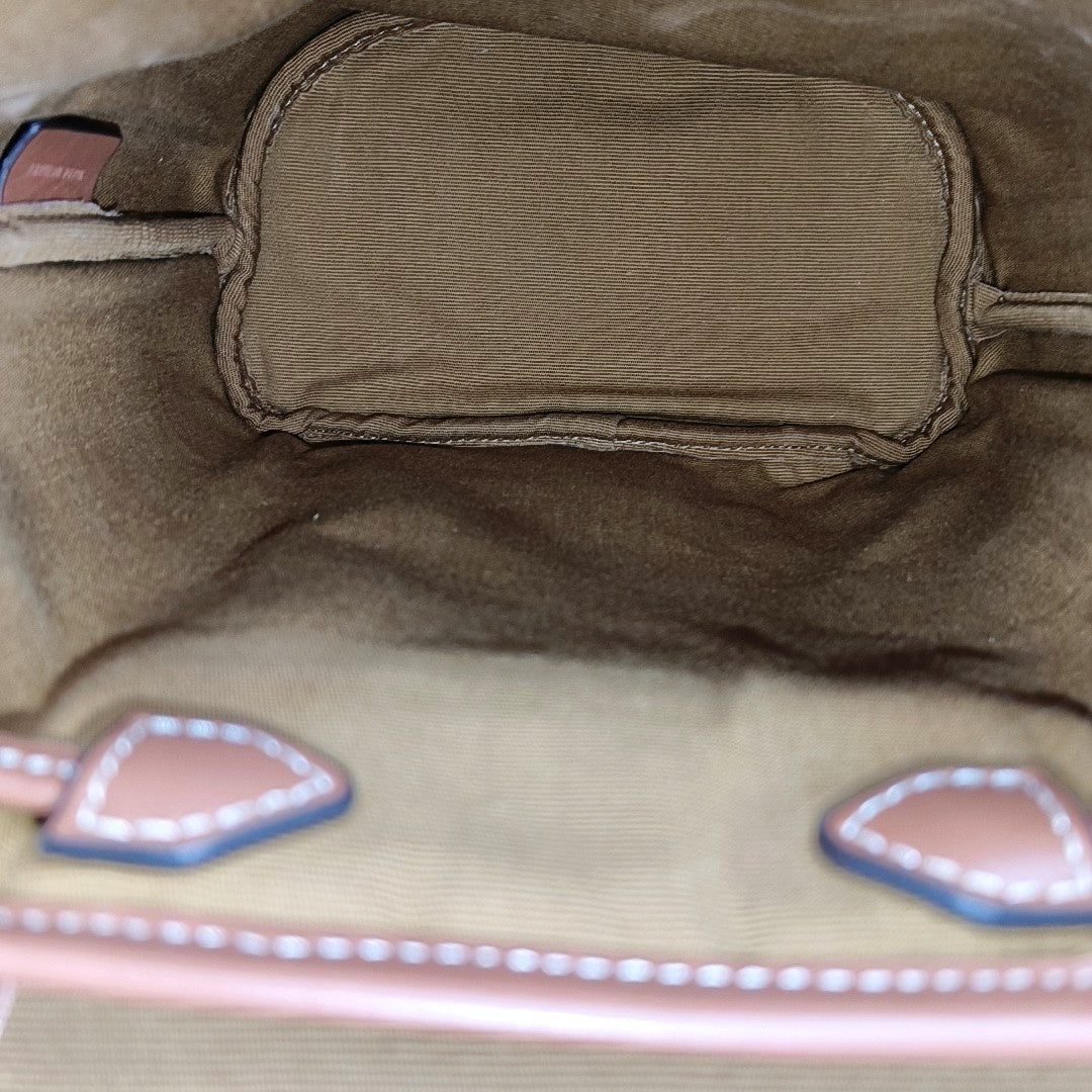 TRIOMPHE Mini Coated Canvas Brown