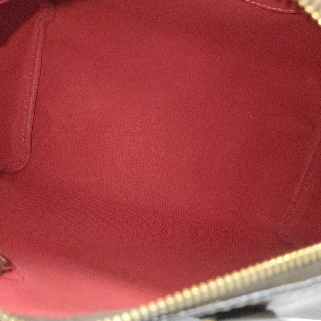 SPEEDY 25 Damier Ebene Coated Canvas Brown