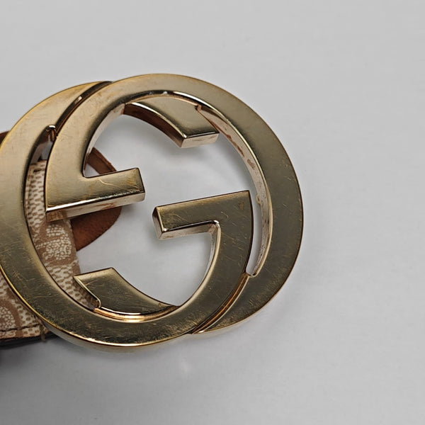 Coated Canvas Belt Beige