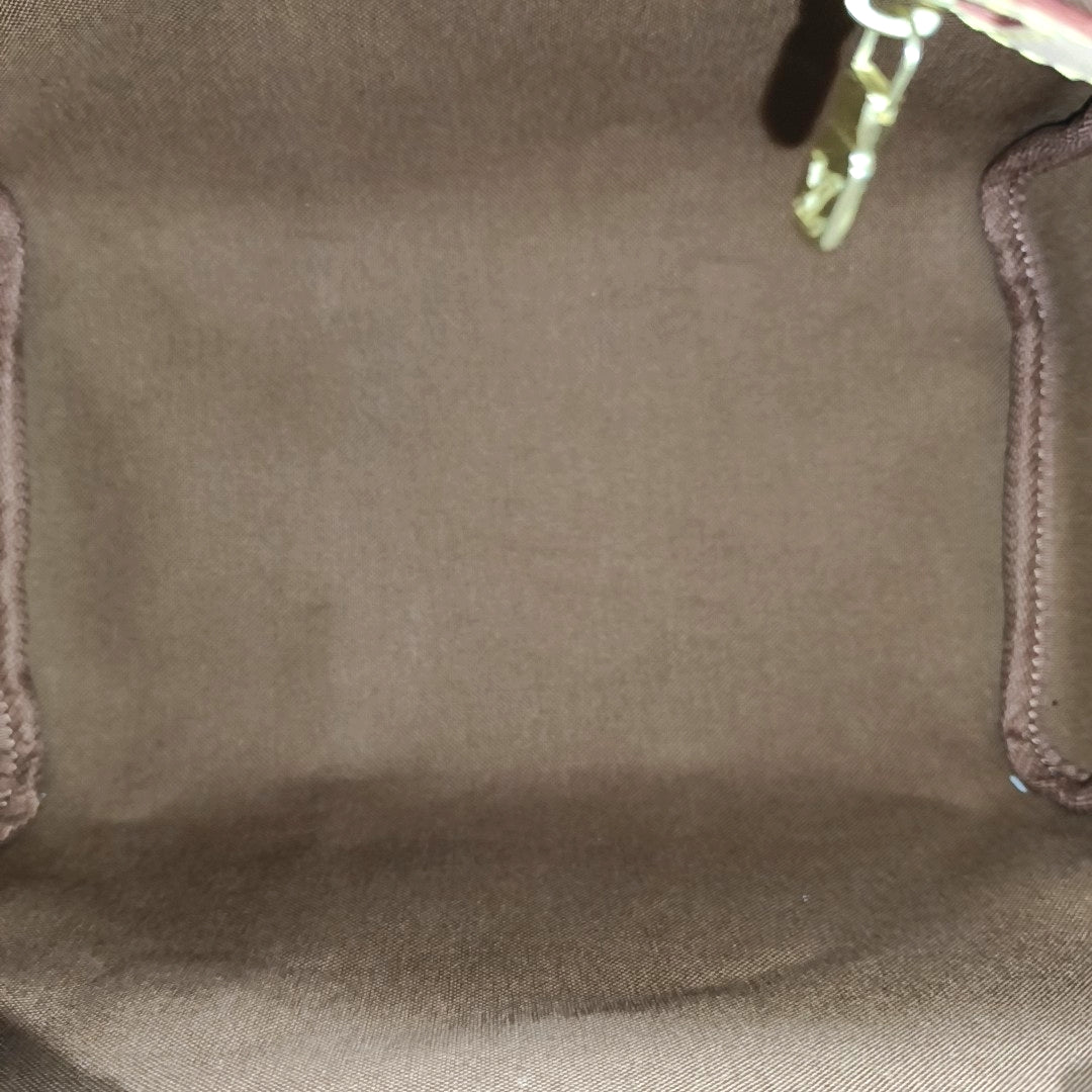 SPEEDY 25 Monogram Coated Canvas Brown