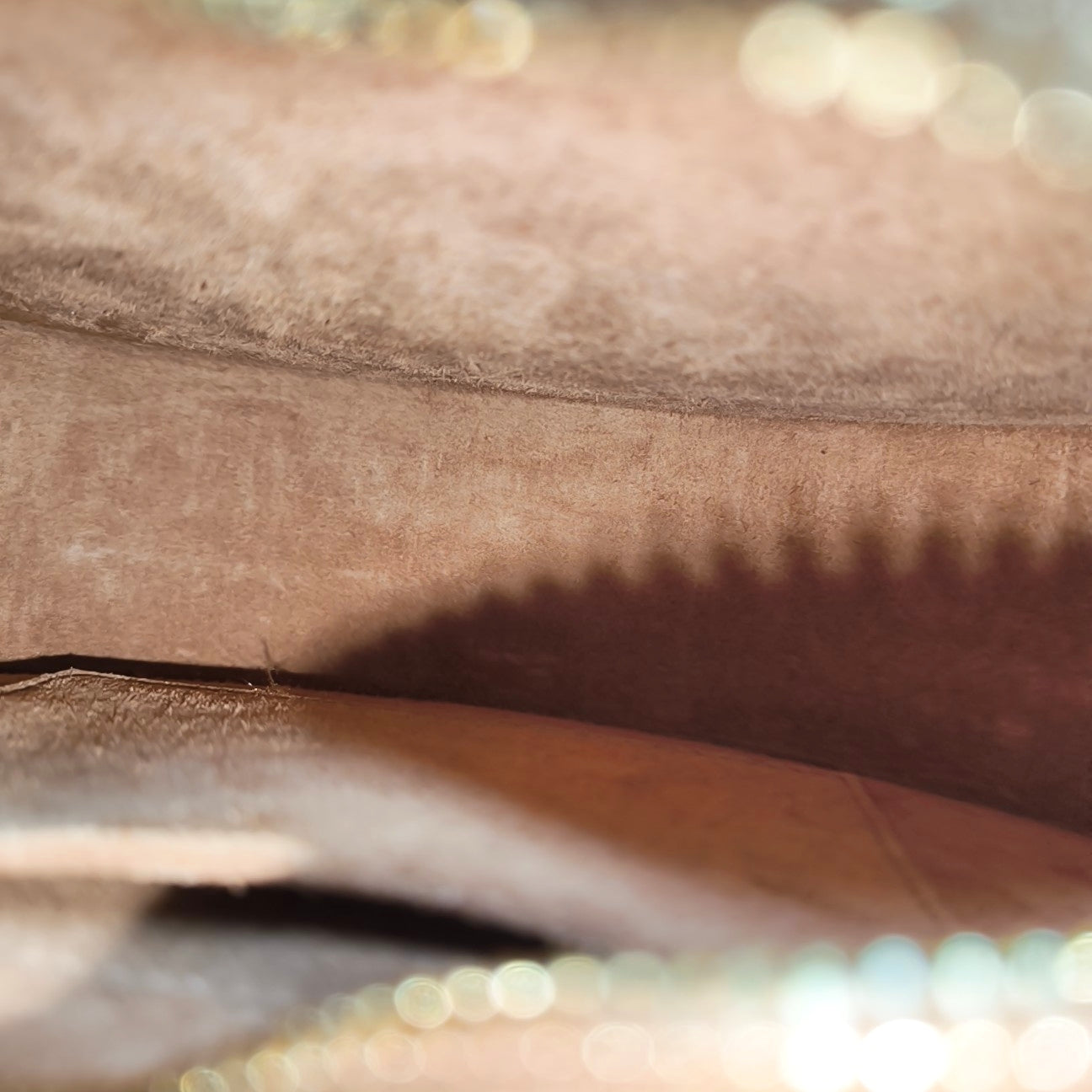 TRIOMPHE Small Calfskin Brown