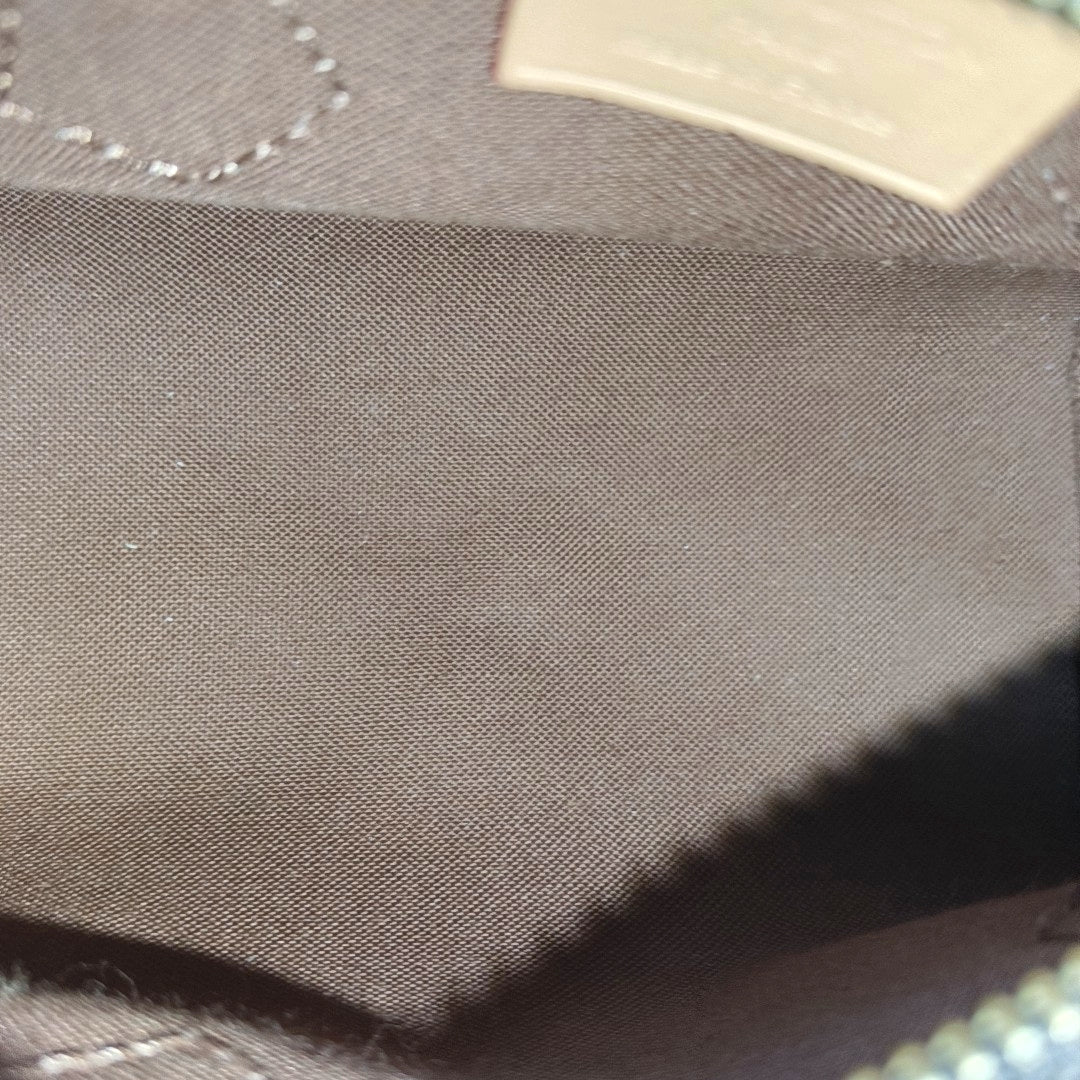 SPEEDY Nano Monogram Coated Canvas Brown