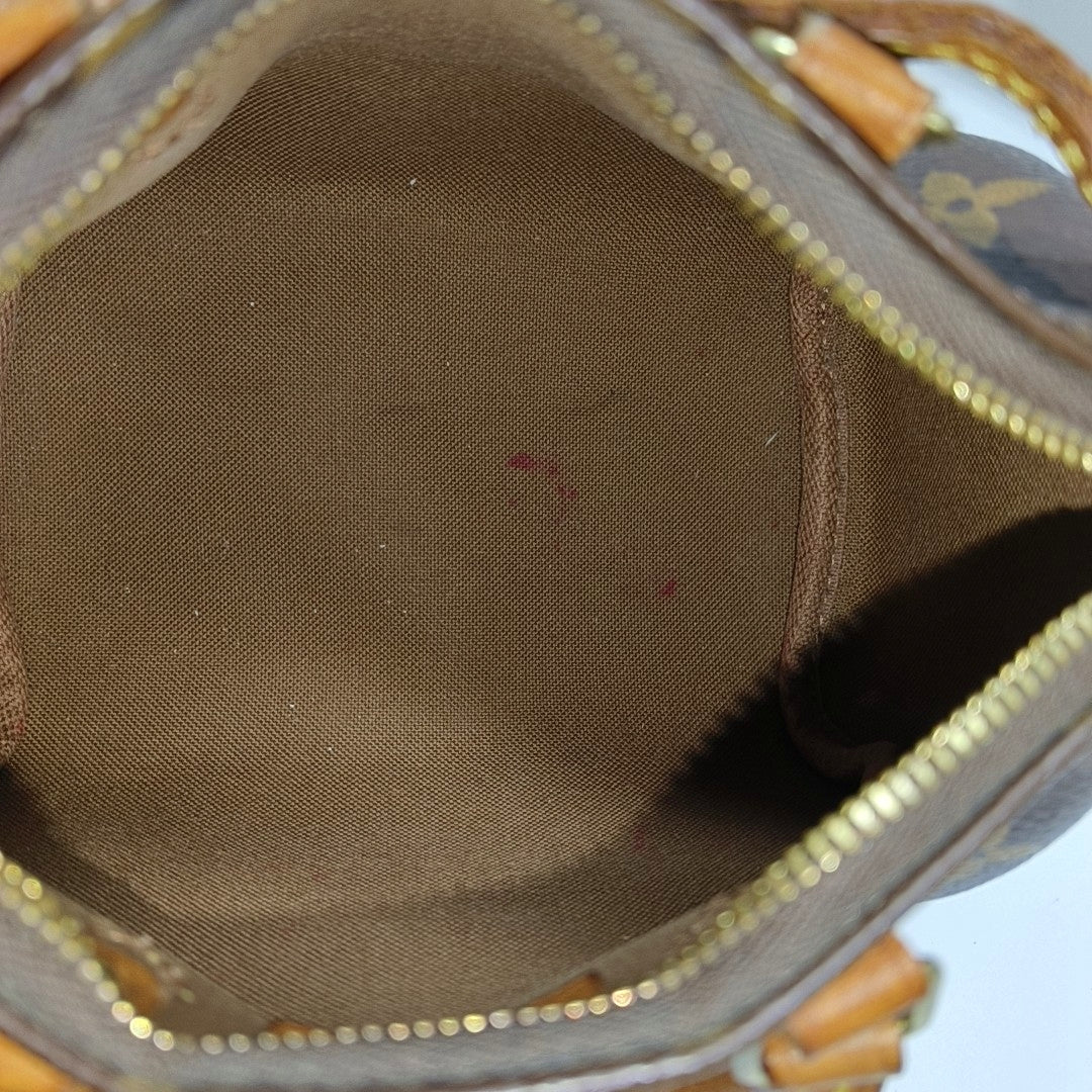 SPEEDY Nano Monogram Coated Canvas Brown