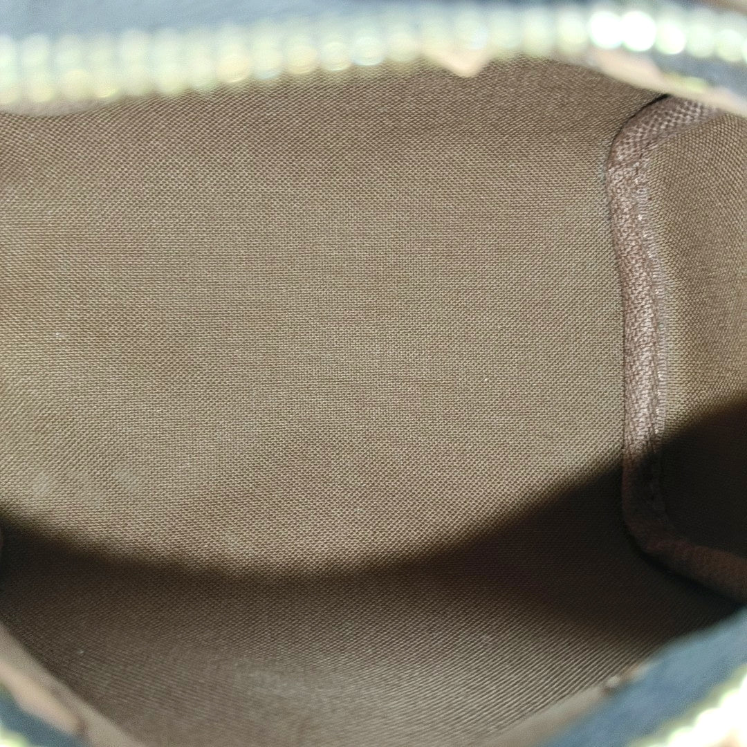 SPEEDY Nano Monogram Coated Canvas Brown