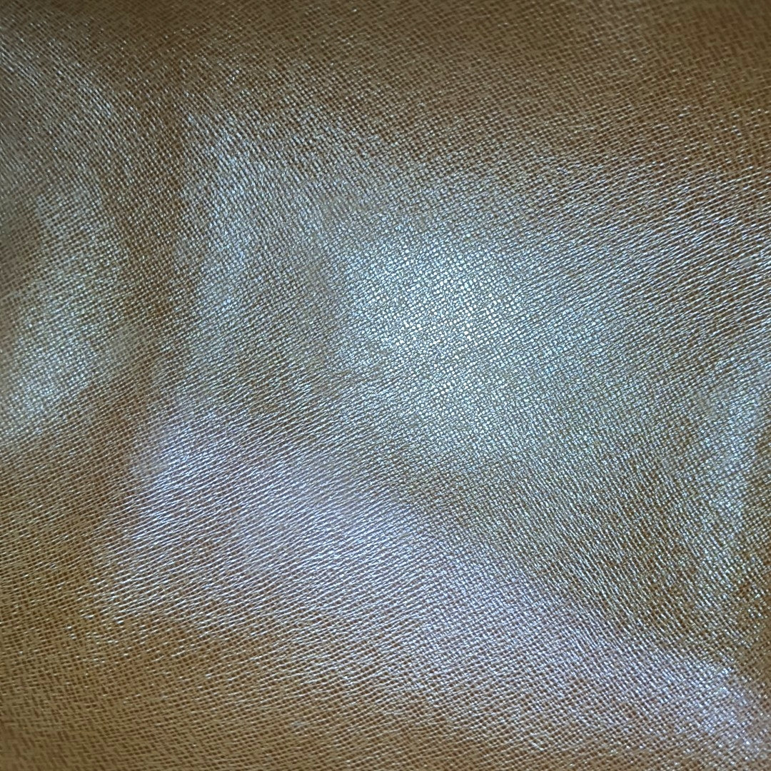 PAPILLON MM Monogram Coated Canvas Brown