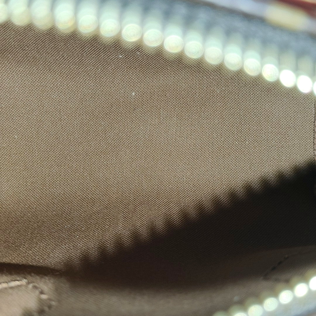 SPEEDY Nano Monogram Coated Canvas Brown