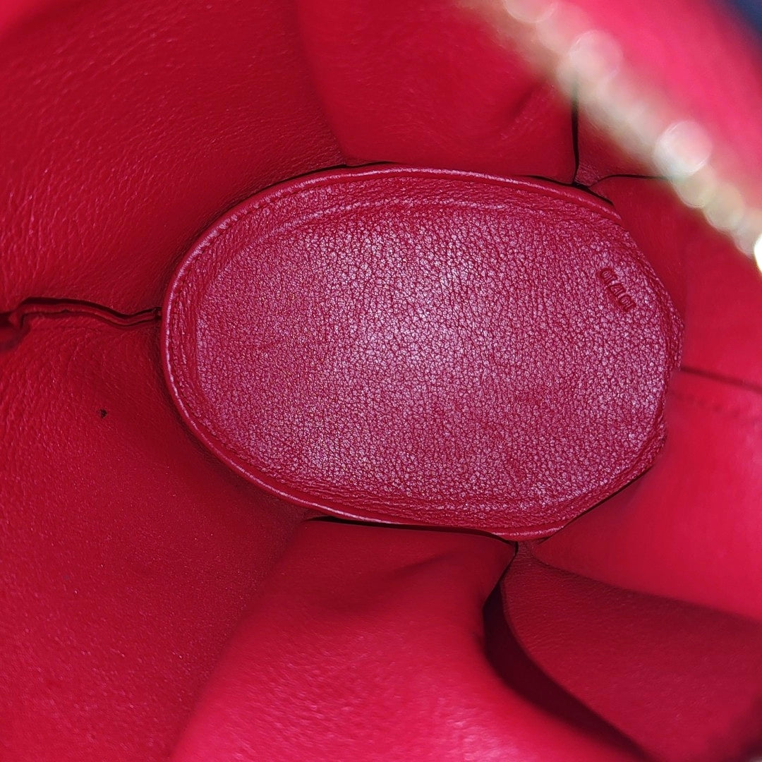 Animals Calfskin Red