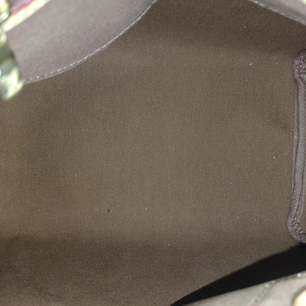 SPEEDY 25 Monogram Coated Canvas Brown