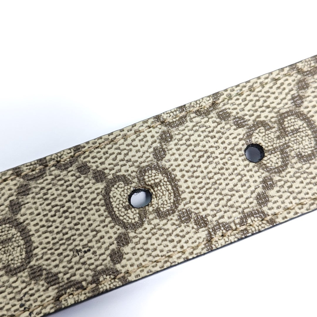 Coated Canvas Belt Beige