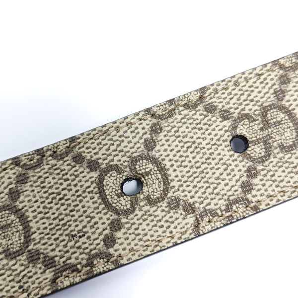 Coated Canvas Belt Beige