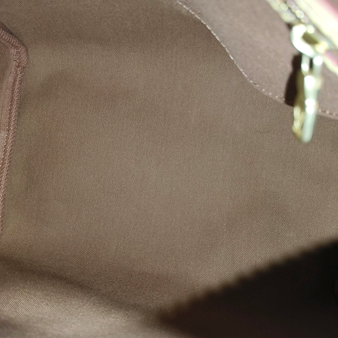 SPEEDY 25 Monogram Coated Canvas Brown