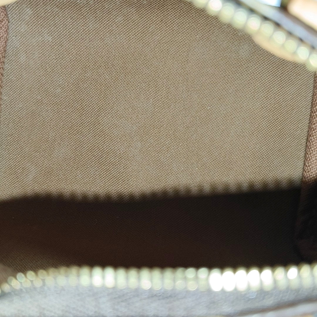 SPEEDY Nano Monogram Coated Canvas Brown