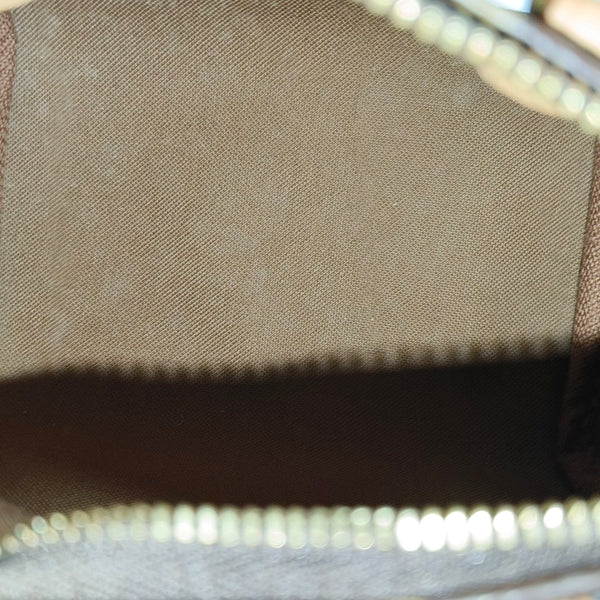 SPEEDY Nano Monogram Coated Canvas Brown